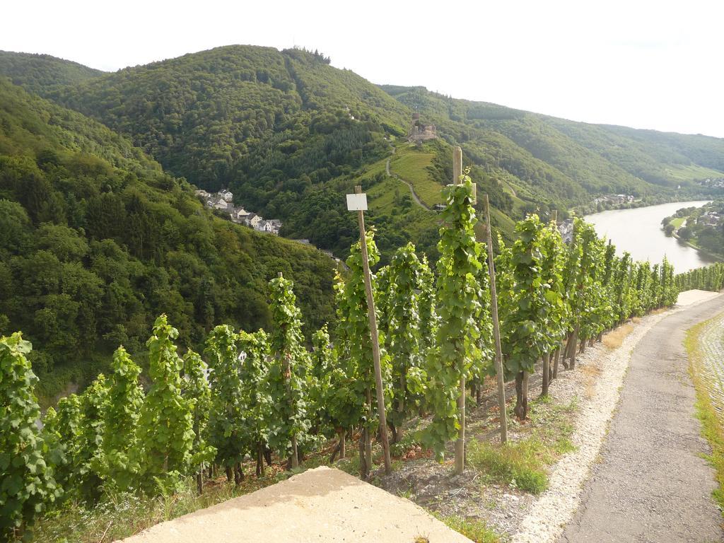 Gaestehaus Ehses Bernkastel-Kues Luaran gambar